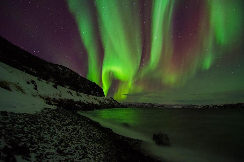 Arctic